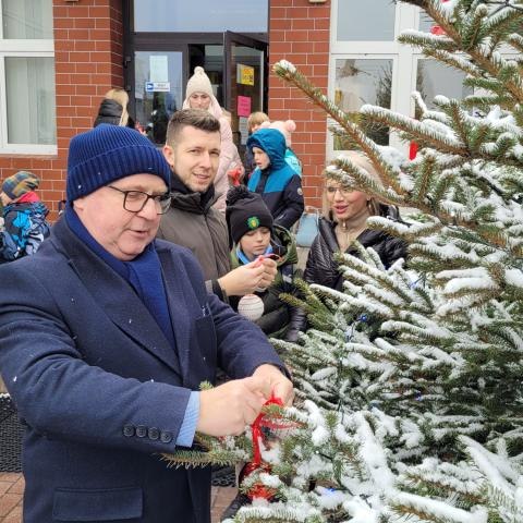 Pierwszy śnieg i choinka.