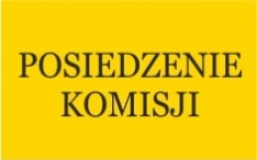 Posiedzenie Komisji Rewizyjnej