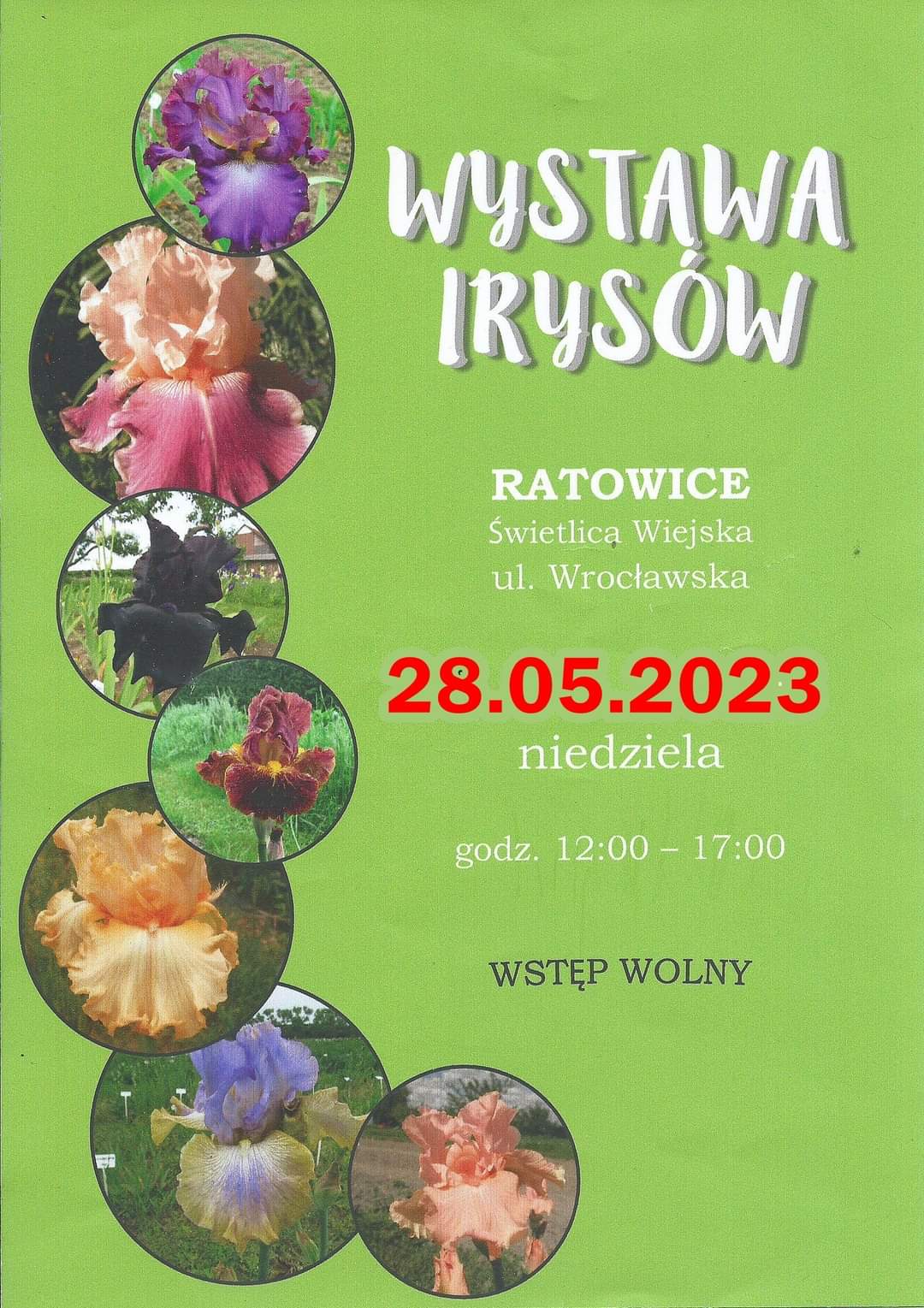 Wystawa Irysów w Ratowicach