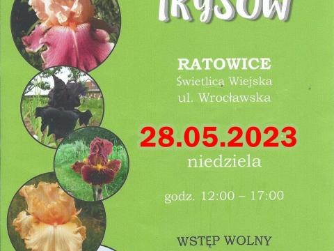 Wystawa Irysów w Ratowicach