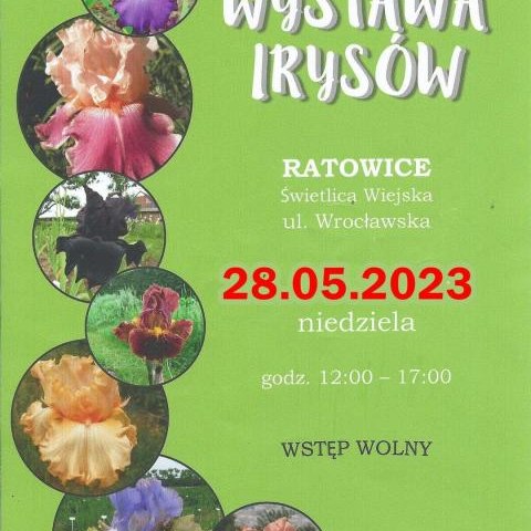 Wystawa Irysów w Ratowicach