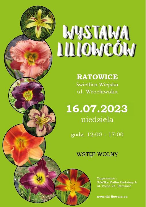 Wystawa liliowców w Ratowicach