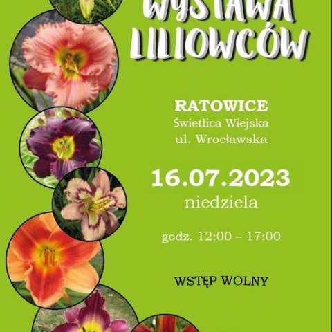 Wystawa liliowców w Ratowicach