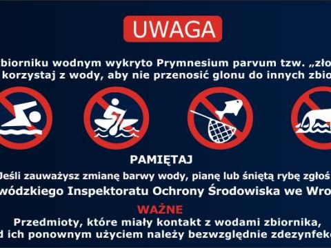 Działania zaradcze podejmowane w związku ze „złotą algą” w starorzeczu Odry