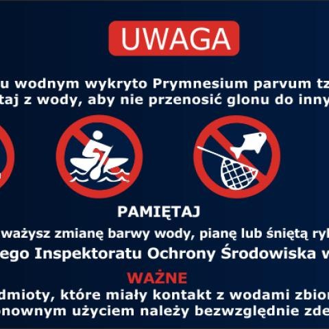 Działania zaradcze podejmowane w związku ze „złotą algą” w starorzeczu Odry