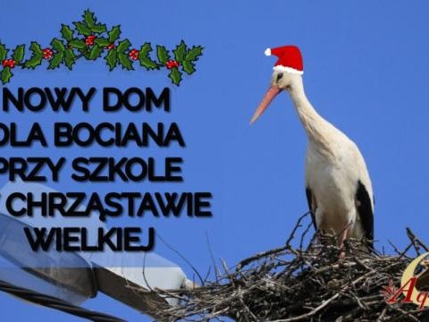 Nowy dom dla bocianów z Chrząstawy Wielkiej