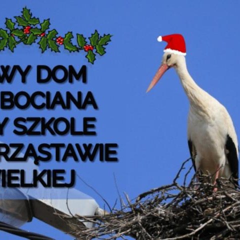 Nowy dom dla bocianów z Chrząstawy Wielkiej