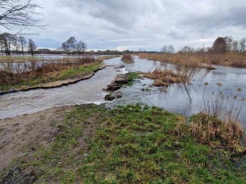 Aktualizacja sytuacji na rzekach Widawa i Graniczna