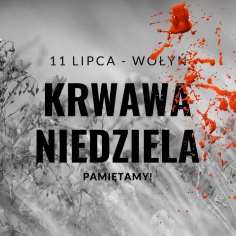 81. ROCZNICA KRWAWEJ NIEDZIELI NA WOŁYNIU | NARODOWY DZIEŃ PAMIĘCI OFIAR LUDOBÓJSTWA DOKONANEGO PRZEZ UKRAIŃSKICH NACJONALISTÓW NA OBYWATELACH RZECZYPOSPOLITEJ POLSKIEJ