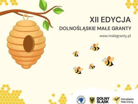 XII Edycja programu Dolnośląskie Małe Granty