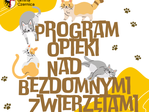 Program opieki nad zwierzętami bezdomnymi w Gminie Czernica