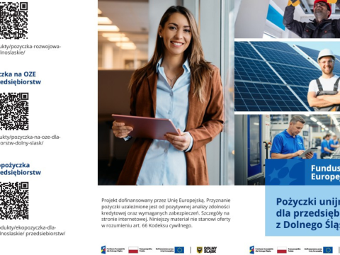 Instrumenty finansowe na rozwój przedsiębiorstw, efektywność energetyczną i OZE