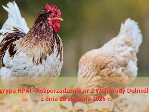 Komunikat: HPAI – ptasia grypa