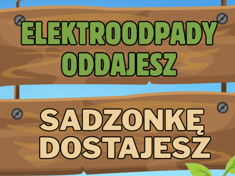 Wymień elektroodpady na zielone sadzonki!