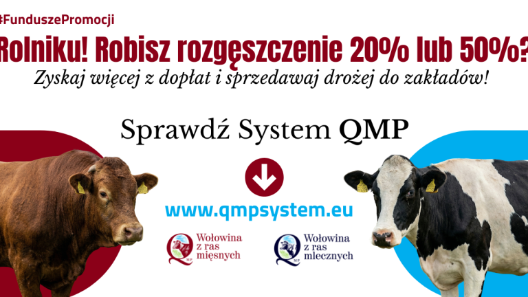 QMP grafika.png