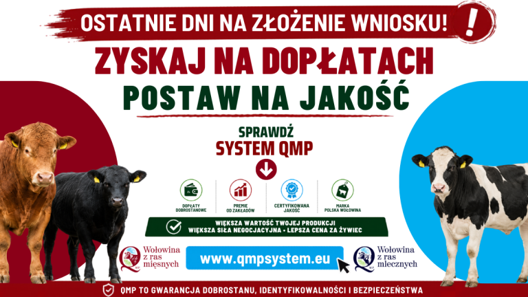 QMP baner close kampania 2026.png