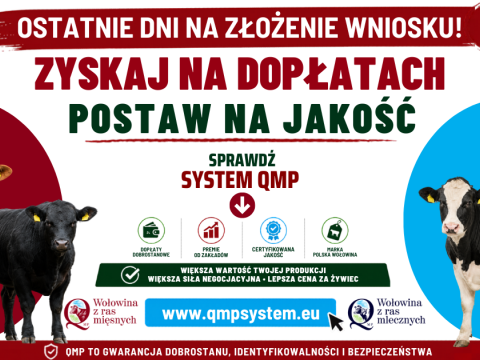 Ekoschemat „Dobrostan zwierząt” Dodatkowe pieniądze dla hodowców z QMP – tylko do 1 czerwca!