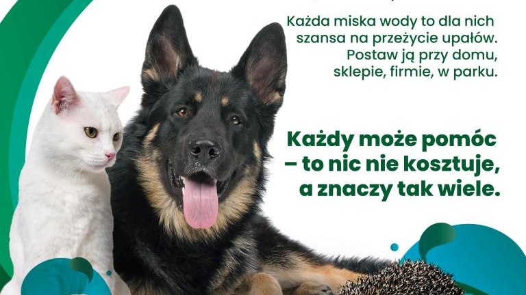 wystaw-miske-plakat-A3-2025-1-DRUK_page-0001.jpg