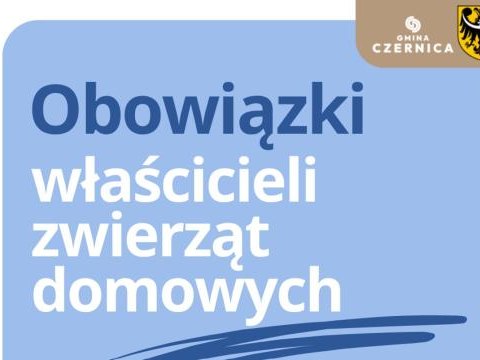 Bezpieczeństwo, porządek i odpowiedzialność – poradnik dla właścicieli zwierząt