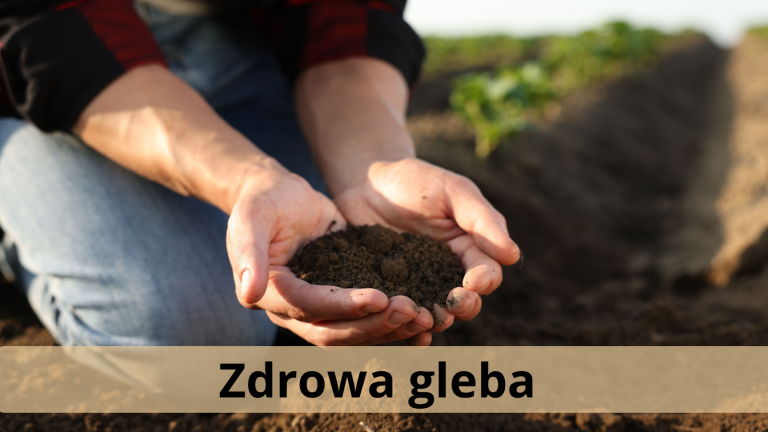Od pola na wrocławski stół(2).png