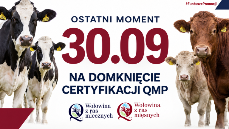 Baner QMP do 3009 pzpbm.png