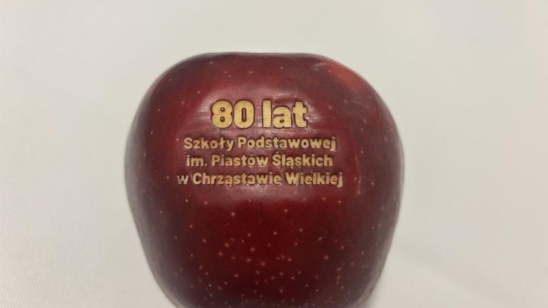 4b.jpeg
