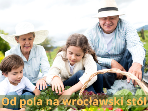 Od pola na wrocławski stół - zaproszenie do udziału w targu żywności